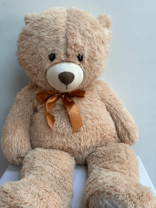 Plush Teddy Bear