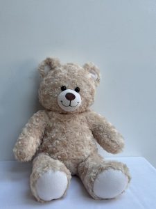 Plush Teddy Bear