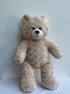 Plush Teddy Bear