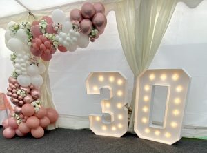 LED RGB Colour Changing Light Up Numbers 1, 2, 3, 4, 5, 6, 8, 9, 0 (White, Pink, Blue, Purple, Yellow, Orange, Red, or Green)